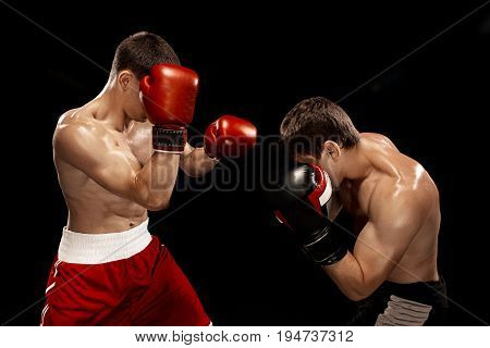 Two professional boxer boxing on black studio background.