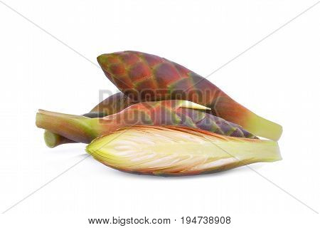 phlai cassumunar ginger or bengal root isolated on white background tropical herbs