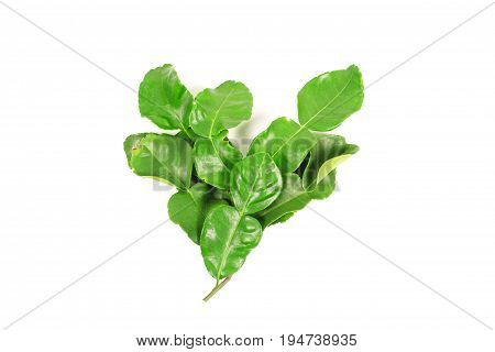 Kaffir lime and kaffir lime leaf on white background