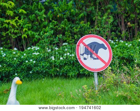 Sign and symbol of No dog pooping sign in park