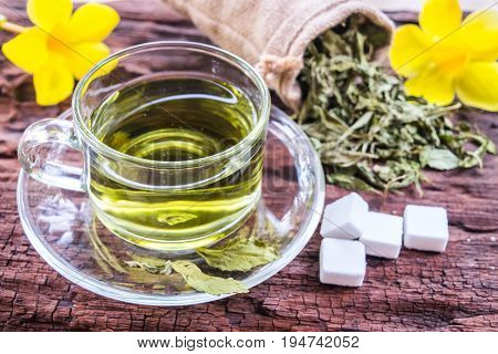Stevia leaves with a cup stevia infusion on old wooden background