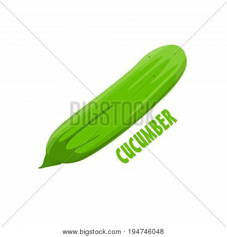Logo Cucumber vector farm design symbol raw