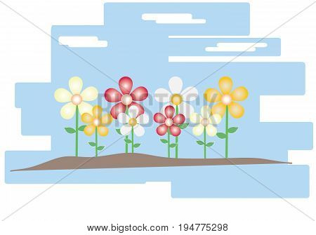Fowers at garden with blue sky