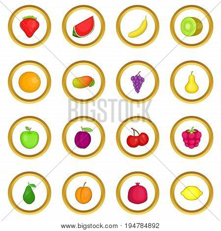 Fruit icons circle gold in cartoon style isolate on white background vector illustration