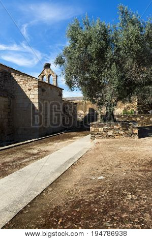 Detail of an old church and an olive tree in the historic village of Idanha a Velha in Portugal; Concept for travel in Portugal