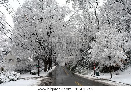 Invierno en Palisades, Washington DC