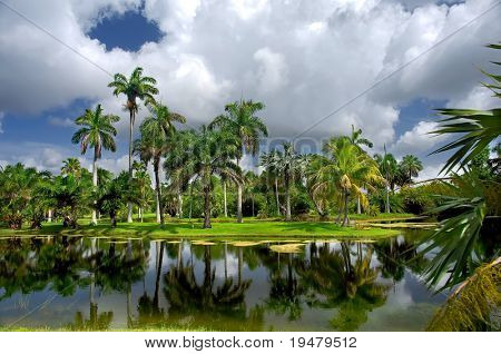 Fairchild tropiske botaniske have, FL, USA