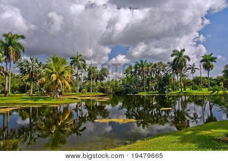 Fairchild tropiske botaniske have, FL, USA