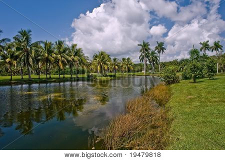 Fairchild tropiske botaniske have, FL, USA