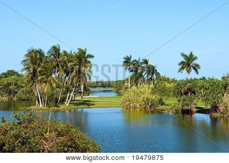 Fairchild tropiske botaniske have, FL, USA