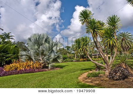 Fairchild tropiske botaniske have, FL, USA
