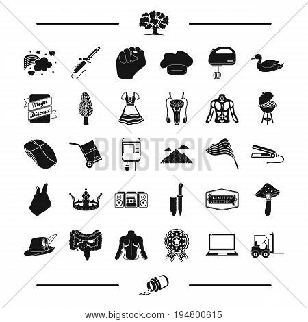 medicine, leisure and other  icon in black style. travel, computer icons in set collection.