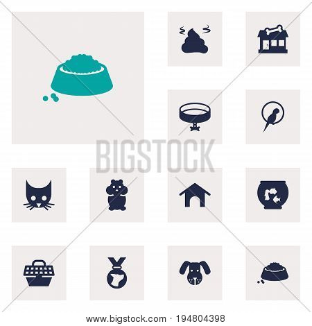 Set Of 12 Mammal Icons Set.Collection Of Medallion, Rat, Food And Other Elements.