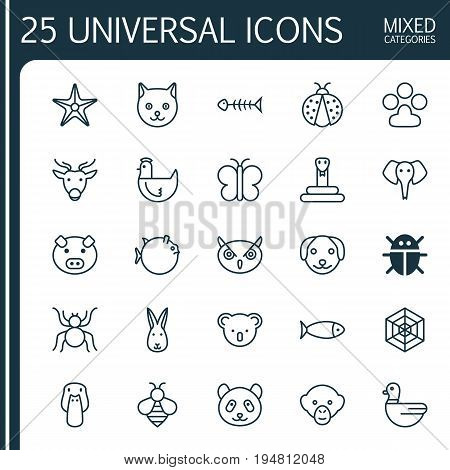 Nature Icons Set. Collection Of Cobweb, Bumblebee, Claw Print And Other Elements. Also Includes Symbols Such As Rabbit, Star, Beetle.