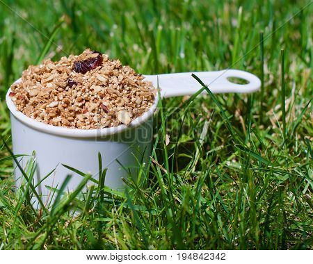 A cup of granola overfilled on green grass