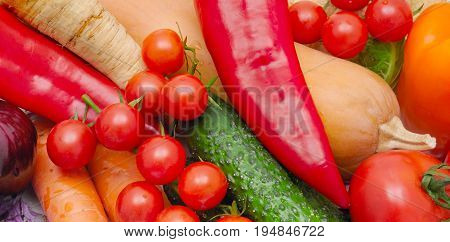 bright background of ripe vegetables and herbs