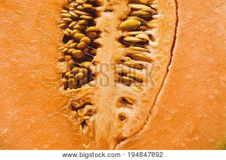 Melon seeds background and texture. Close up view of melon cut in a half with seeds. Organic texture and background. Fresh fruit. Macro view of melon surface. Melon texture. Healthy food.