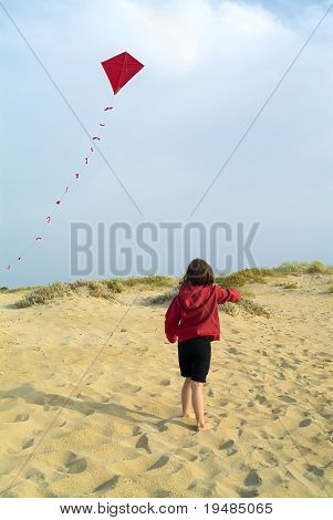 pige på stranden og en rød glente