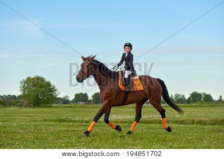 Pretty little girl jockey riding a horse across country in professional outfit
