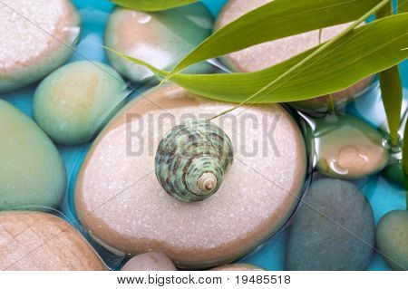 oblázky bambusové listy vody shell