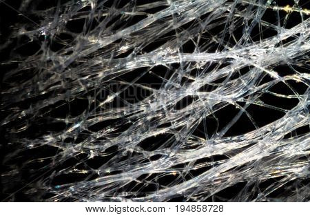 Wet Wipe Fabric Under The Microscope