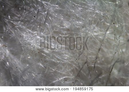 Wet Wipe Fabric Under The Microscope