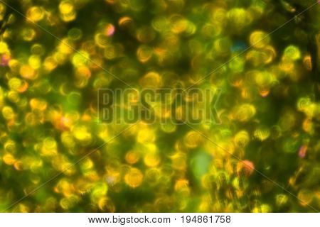 Abstract Yellow Green Pattern Fabric Texture On Israeli Money Bill Of 50 Shekel Under The Microscope