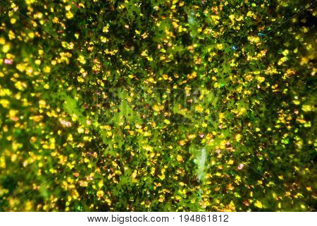 Abstract Yellow Green Pattern Fabric Texture On Israeli Money Bill Of 50 Shekel Under The Microscope