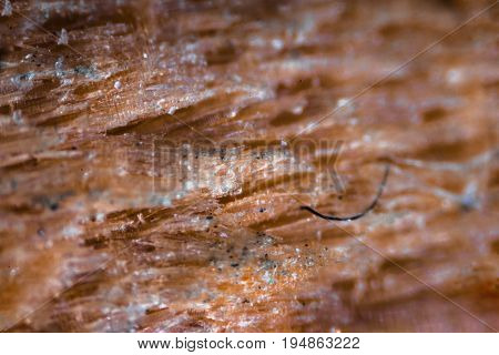 Pencil Tip Under The Microscope