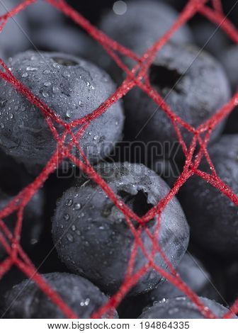 Multiple Wet Blueberries with a Red Net