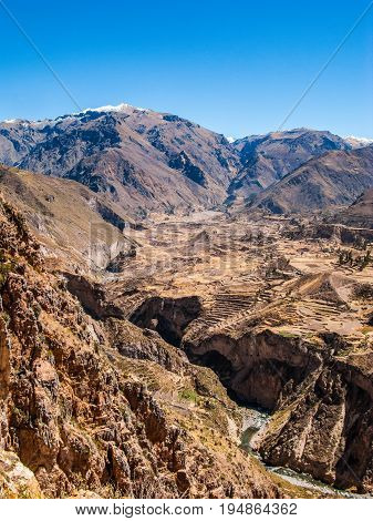 Incan terraced fields in Colca Valley Peru