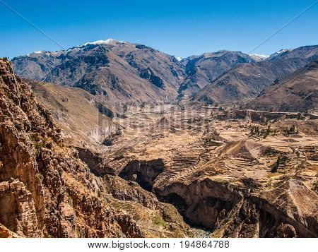 Incan terraced fields in Colca Valley Peru