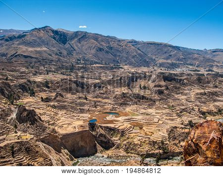 Incan terraced fields in Colca Valley Peru