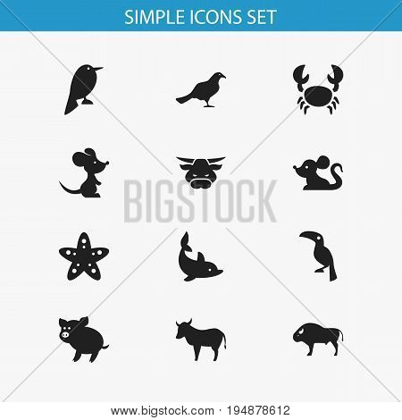 Set Of 12 Editable Zoology Icons. Includes Symbols Such As Bison, Mouse, Playful Fish And More. Can Be Used For Web, Mobile, UI And Infographic Design.