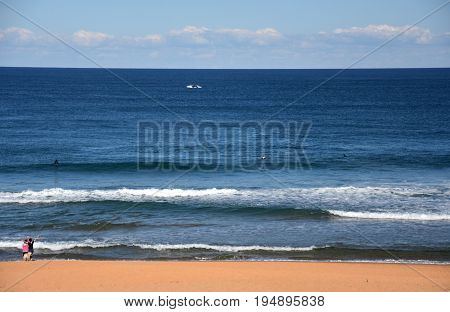 People relaxing and surfing at Copacabana Beach on a sunny day in winter time (Central Coast NSW Australia). A whale jumping in the background.