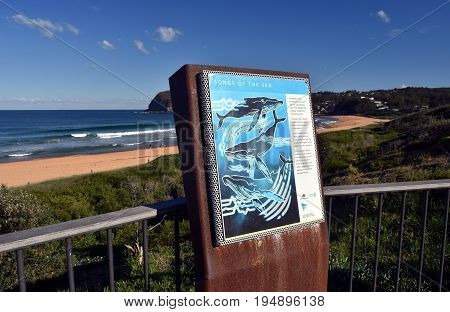 Copacabana Australia - Jun 24 2017. "Songs of the sea". Whale watching point at Copacabana Beach on a sunny day in winter time (Central Coast NSW Australia).