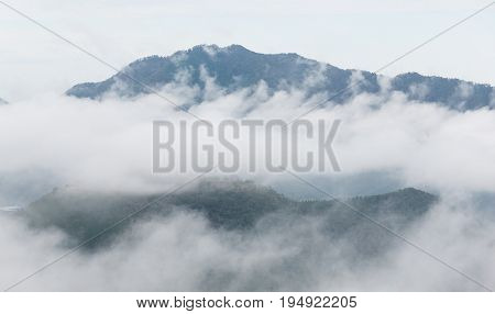 Sea of cloud in forest