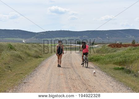 Women do sport and walk with a bike down a road