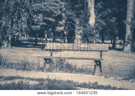 Old vintage photo. Park bench sunny day summer grass copy space