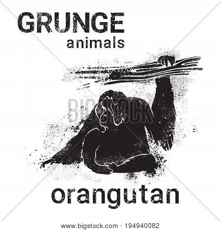 Silhouette Orangutan In Grunge Design Style Animal Icon Vector Illustration