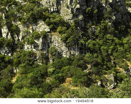 Francie, typická krajina jižní Francie poblíž Carcassone