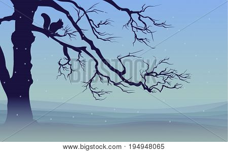 Nature winter landscape template with small squirell sitting on tree on snowy background vector illustration