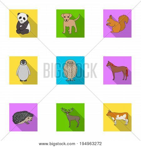 Deer, tiger, cow, cat, rooster, owl and other animal species.Animals set collection icons in flat style vector symbol stock illustration .