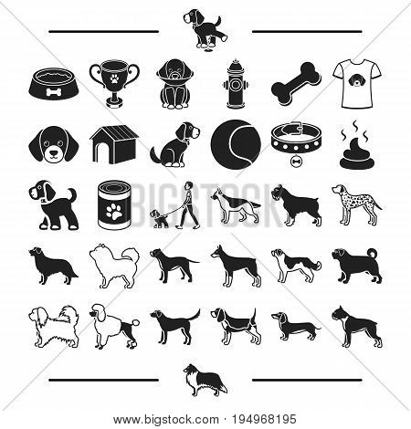 care, accessories, dog breeding and other  icon in black style.dachshund, Shorthair, textiles icons in set collection.