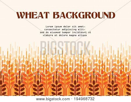 Wheat ears pattern. Vector agriculture background. Wheat field