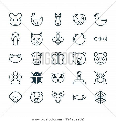 Nature Icons Set. Collection Of Spider, Butterflyfish, Rat And Other Elements. Also Includes Symbols Such As Spider, Chicken, Serpent.