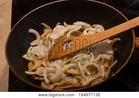 Sponge Lactarius piperatus food preparation taste mushrooms