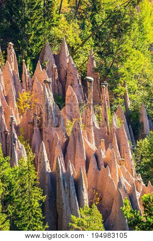  Magnificent Dolomites in Tyrol. Renon's earth pillars at sunrise. Journey to  magical fairy-tale country. The concept of ecological tourism 