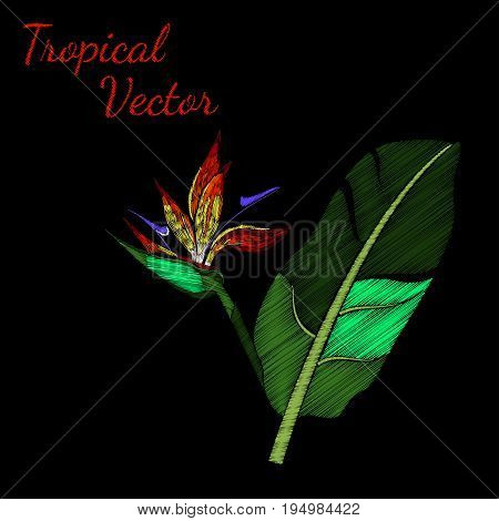 Vector Illustration of Embroidery Pattern for Design, Background. Floral Ornament for Textile. Fancywork Texture Template