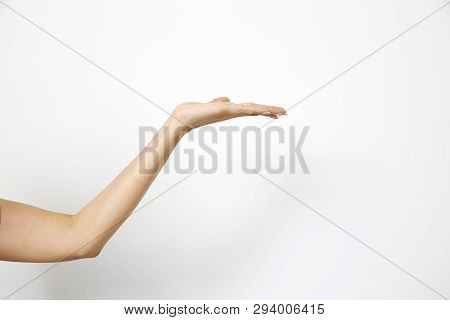Hand Woman's Holding Something